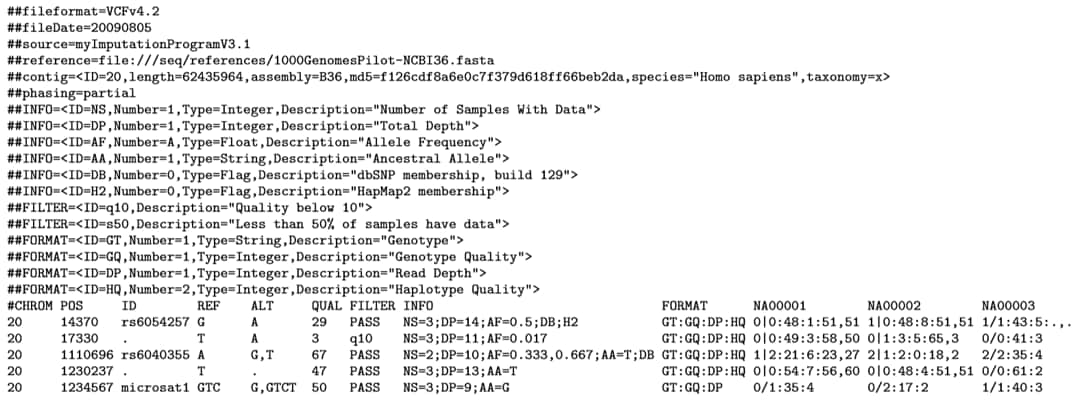 VCF file example