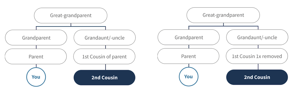 second cousins