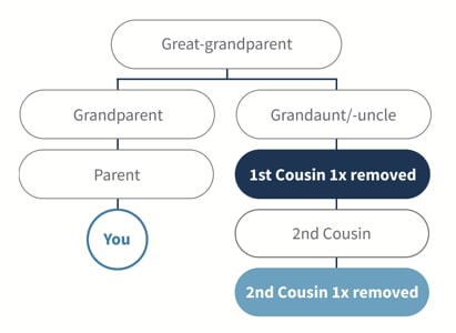 first cousin once removed